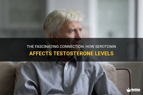 The Fascinating Connection How Serotonin Affects Testosterone Levels Medshun