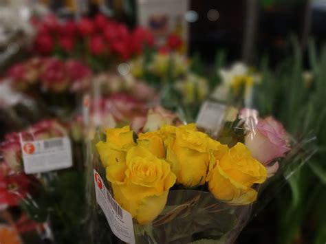 Mobile-review.com Обзор смартфона BQ-6000L Aurora