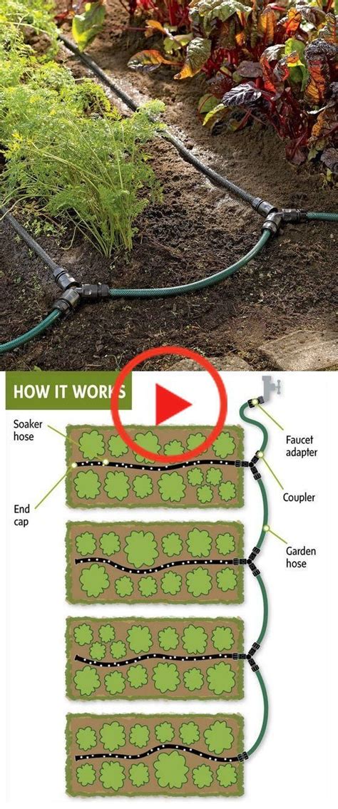 Alternative Energy And Gardning Drip Systems For Gardens In 2020