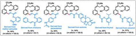 Distal Meta Ch Functionalization Of Substituted Cinnamates