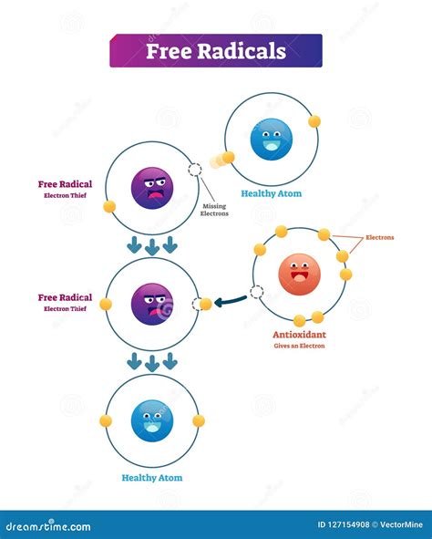 Mapa Mental De Antioxidantes Images And Photos Finder