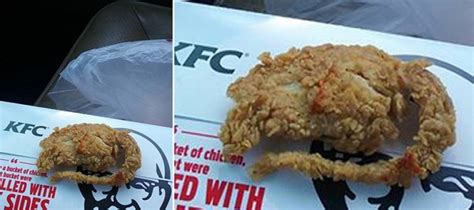 This Man Claims Kfc Served Him A Fried Rat And He Has A Picture What