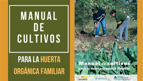 Manual De Cultivos Para La Huerta Org Nica Familiar Ondarural