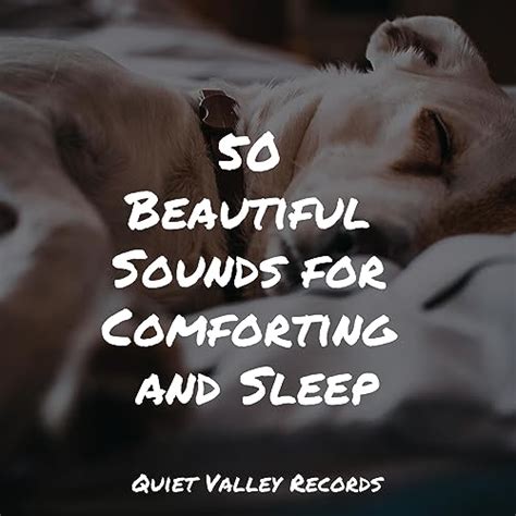 Play 50 Beautiful Sounds for Comforting and Sleep by Zen, Rain for Deep ...