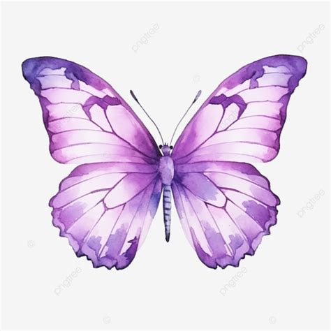 watercolor purple butterfly watercolor butterfly summer png