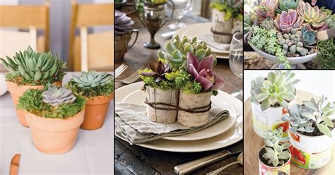 Beautiful Diy Succulents Centerpiece And Arrangement Ideas