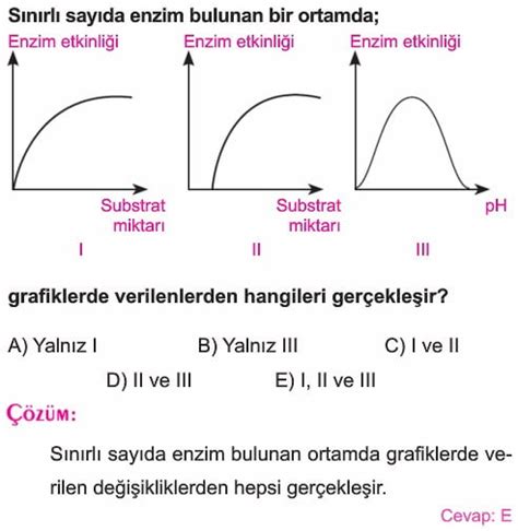 Canlilarin Yapisinda Bulunan Temel Bilesikler Ornek