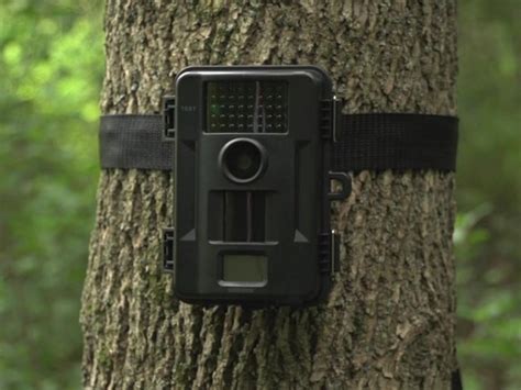 Stealth Cam Unit Ops 8mp Digital Game Camera Sportsmans Guide Video