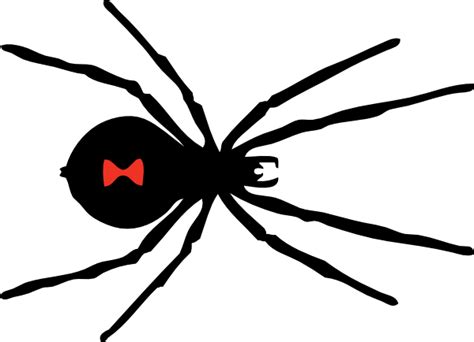 Black Widow Spider Logo - LogoDix