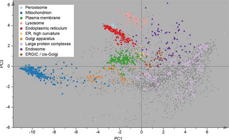 Global Quantitative And Dynamic Mapping Of Protein Subcellular