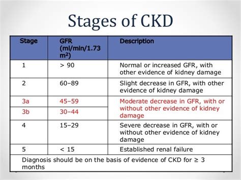 Kidney function Blood take a look at Gfr