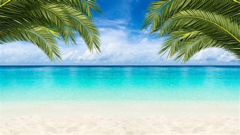 Zoom Virtual Background Beach Caribbean Zoom Virtual Backgrounds Make ...