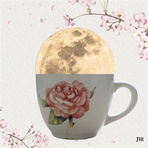 The Moon In My Cup by illustrationsandme on DeviantArt