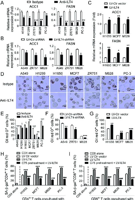 Tumor Derived Immunoglobulin Like Transcript Ilt Promotes T Cell