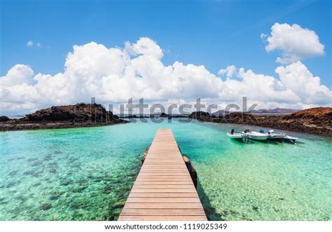 7,309 Lobos Island Images, Stock Photos & Vectors | Shutterstock