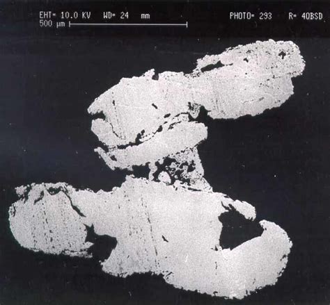 Scanning electron microscope image of two rounded particles of type 1 ...