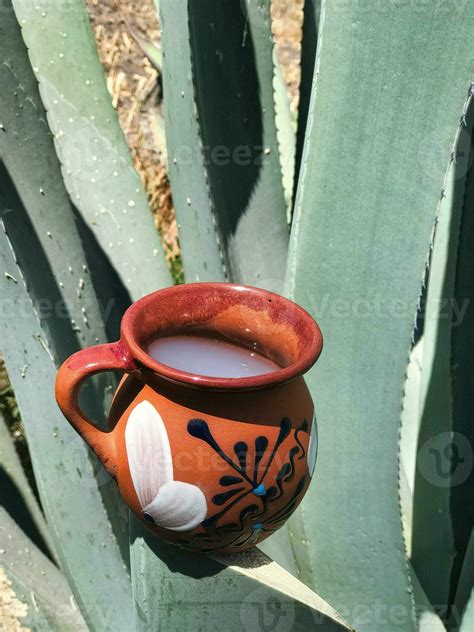 Pulque And Maguey The Essence Of Mexico Rich Cultural Heritage