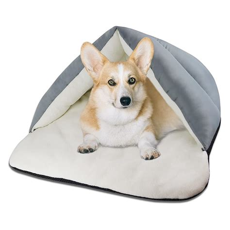 11 Best Warm Dog Beds