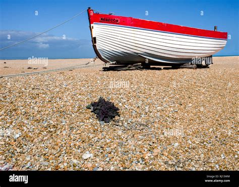 Cuspate foreland dungeness hi-res stock photography and images - Alamy