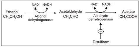 What are the drugs producing disulfiram like reactions?