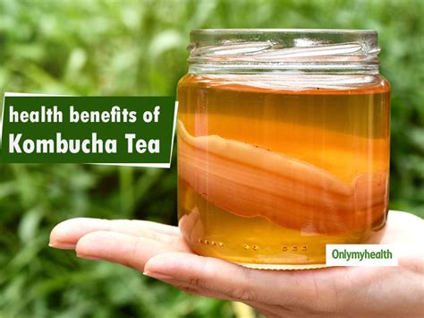 Kombucha Tea Benefits 6 Health Benefits Of This Lesser Known Beverage