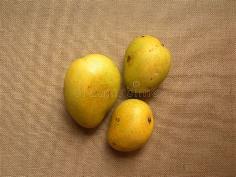 Banganapalli Mangoes Stock Image Image Of Ingredient 183918019