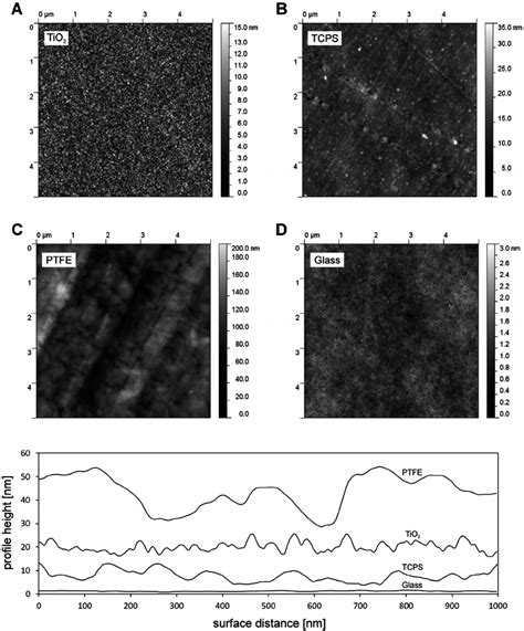 Afm Height Images And Representative Surface Profiles Of The