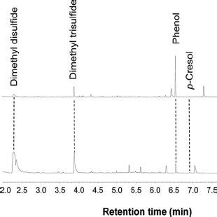 Gc Traces Of Volatile Compounds Released From Waste Larval Rearing