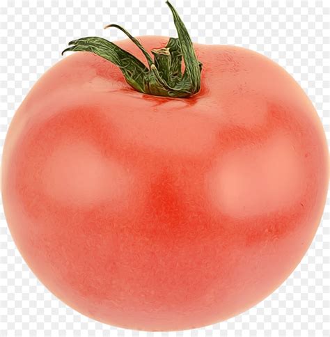 Ameixa Tomate Alimentos Bush Tomate Png Transparente Gr Tis