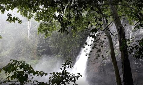 Soochipara Waterfalls, Wayanad | MY WAYANAD