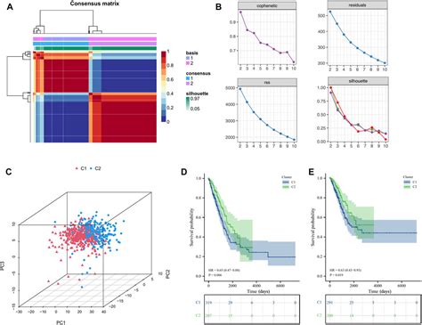 Frontiers Identification Of Lung Adenocarcinoma Subtypes And