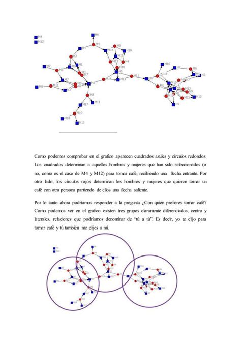 Pr Ctica Sociolog A Sociograma Pdf