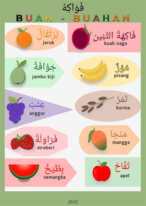 Poster Buah Buahan Arab Indonesia Buah Lembar Kerja Belajar