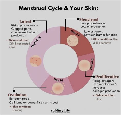 Pin By Kadijaah Begum On Skin Care Tipsssss Menstrual Cycle