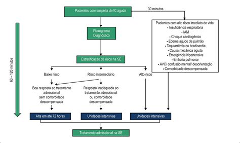 Scielo Brasil Diretriz Brasileira De Insufici Ncia Card Aca Cr Nica