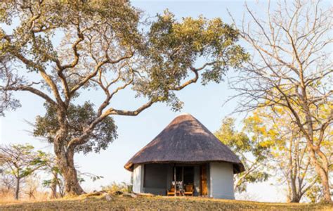 Kafue National Park Safari And Victoria Falls Horizon Guides