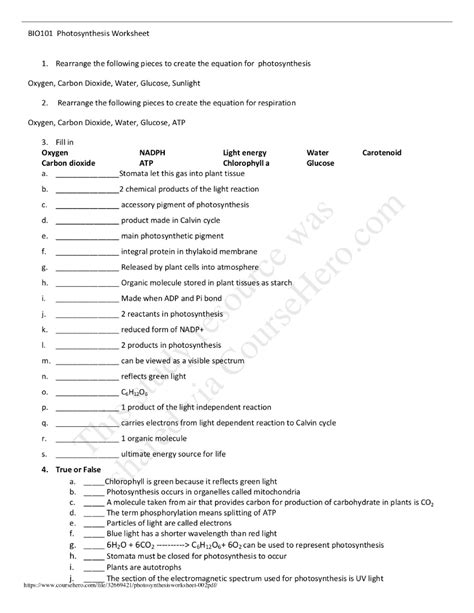 Solved Bio Photosynthesis Worksheet Rearrange The Chegg