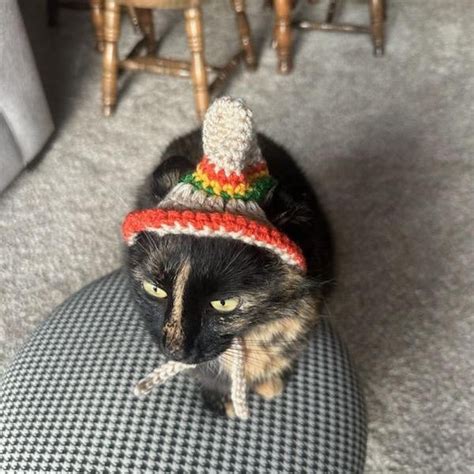 Cat Sombrero Crochet Pattern Crochet Instructions For Pet Size