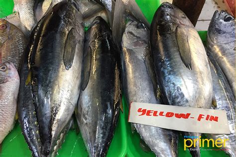 Market Guide To Common Fishes In The Philippines Philippine Primer