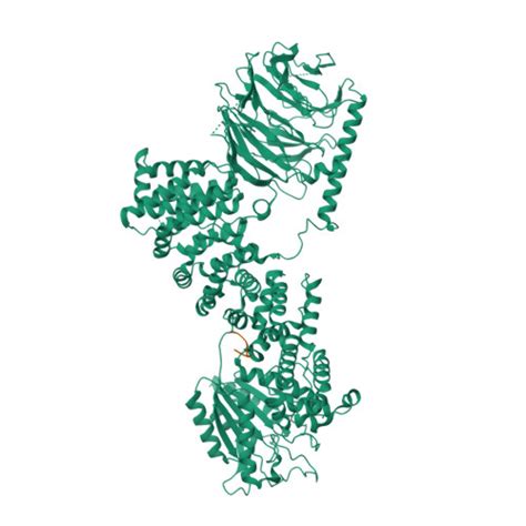 RCSB PDB 9F43 Cryo EM Structure Of Human LST2 Bound To Human MTOR