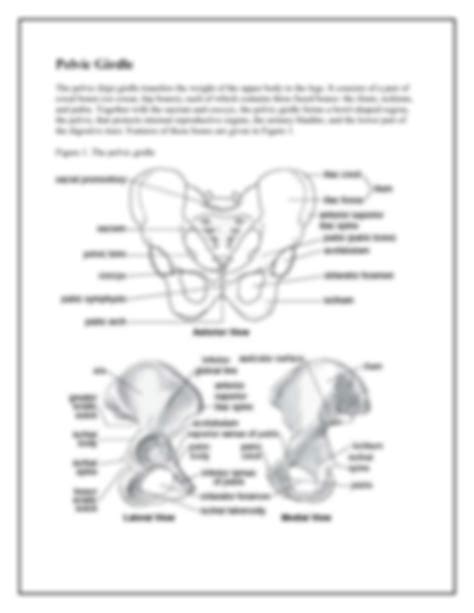 Solution Pectoral Girdle And Pelvic Girdle Studypool