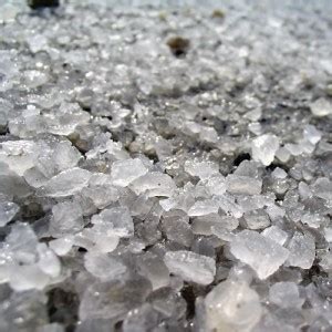 The Environmental Effects of Road Salt - ZergNet