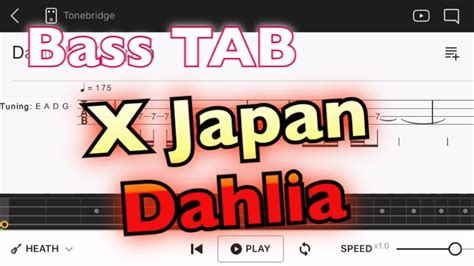 【ベースtab】‪x Japan Dahlia‬【初心者用練習曲】bass Tutorial Youtube