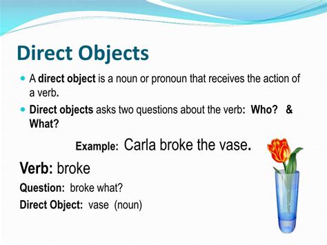 Direct Object Examples