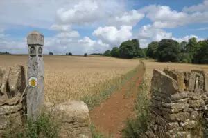 The Cotswold Way Walking Trail: All You Need To Know - Happily Ever Hiker