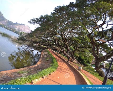 Lake stock photo. Image of lanka, round, lake, kurunegala - 170884766