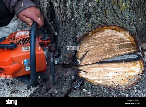 Chainsaw Trunk And Man And Diy Hi Res Stock Photography And Images Alamy