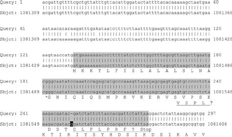 Blastn alignment of the re-sequenced nucleotide sequence (query) with ...