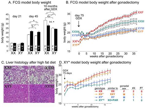 Cell Autonomous Sex Determination Outside Of The Gonad PMC