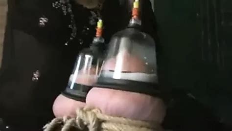 Free Cow Porn Videos XHamster